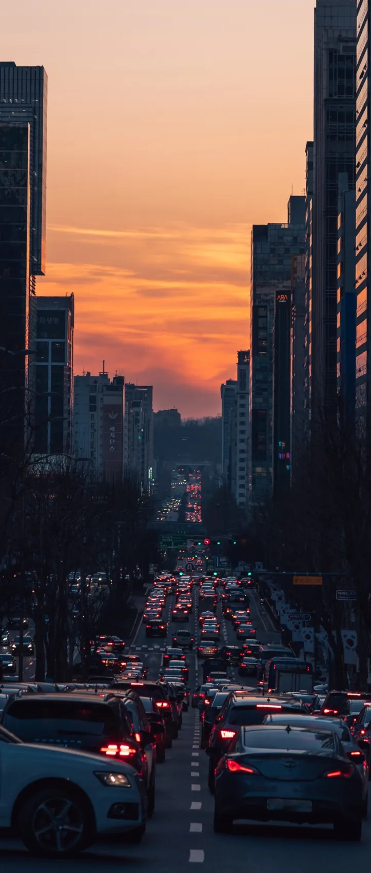 도시 도로