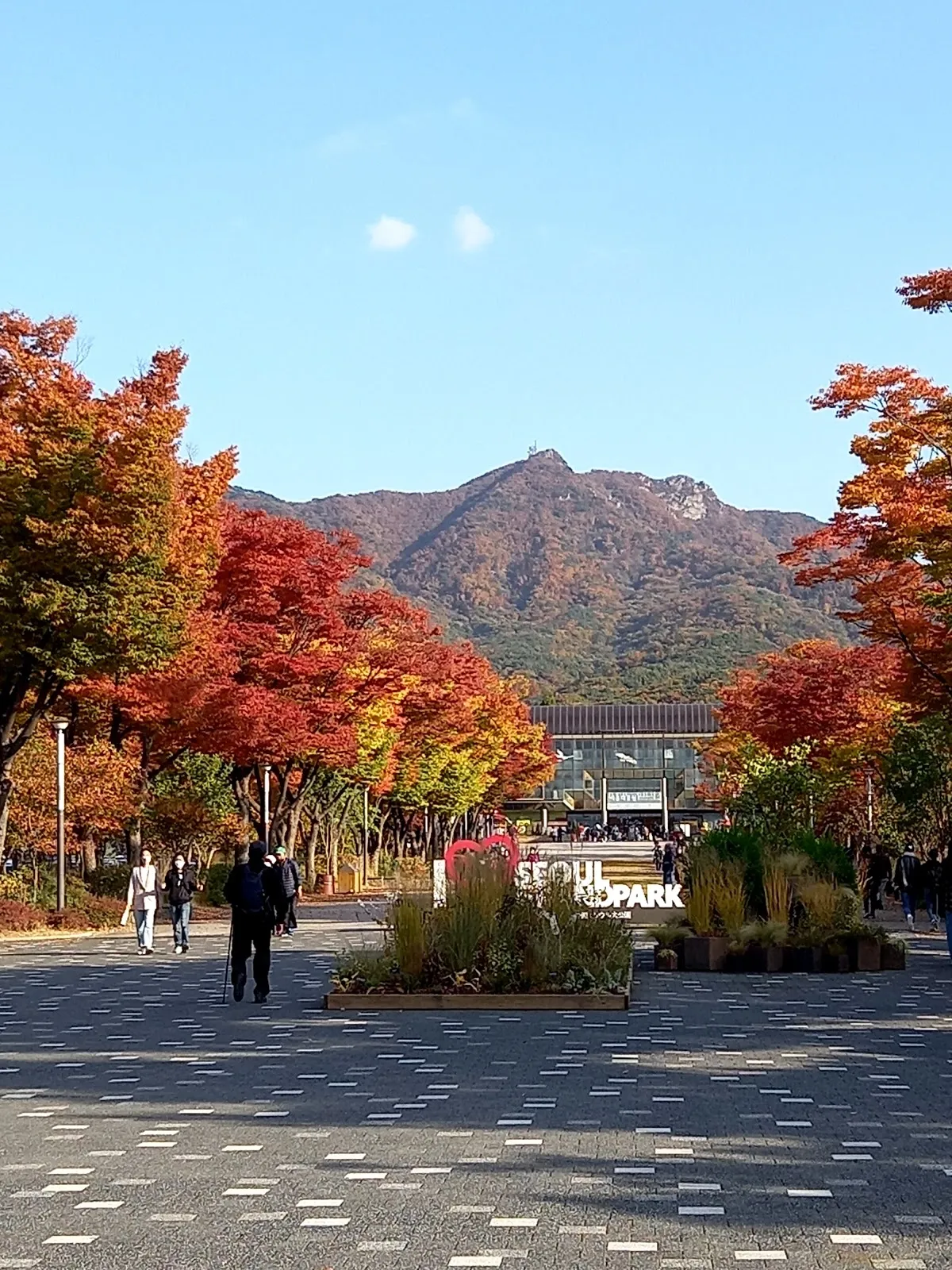 가로수길