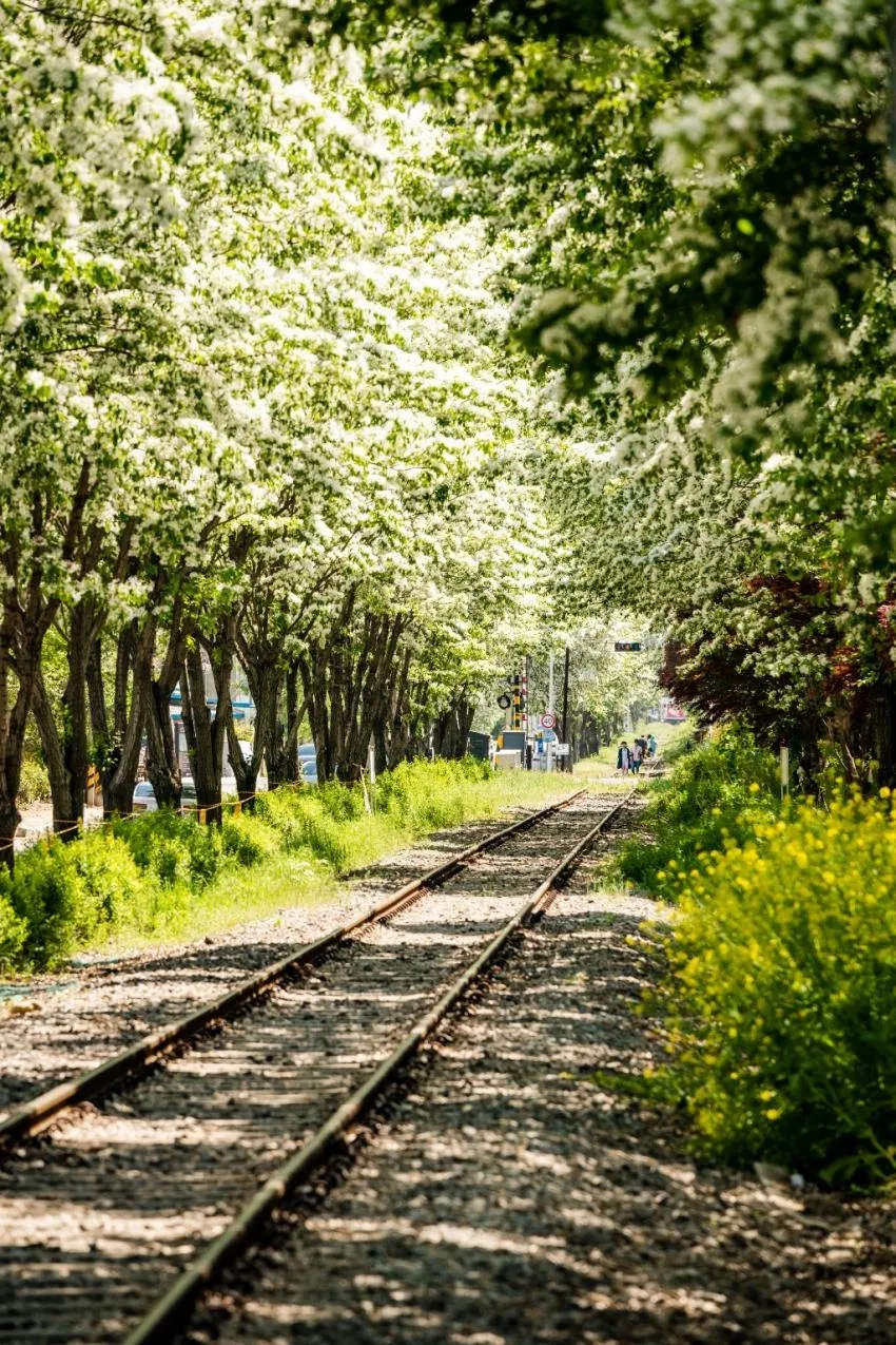 철로