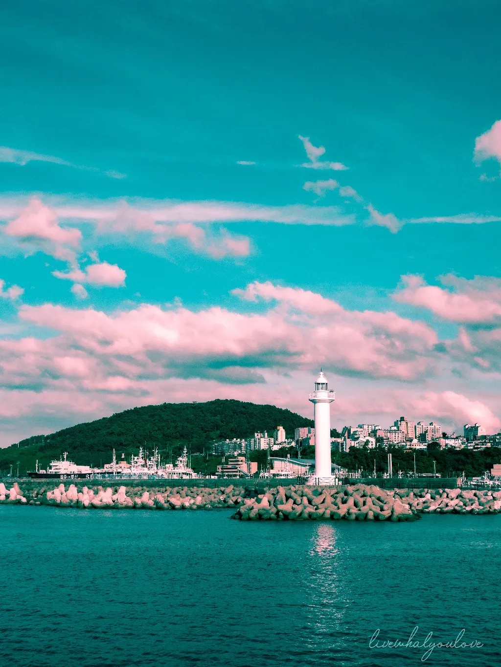 등대