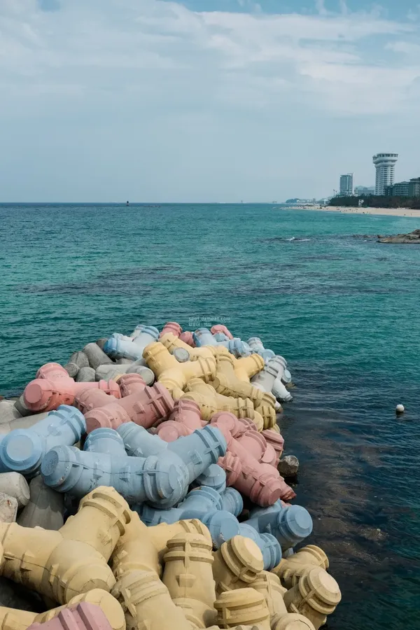 사근진해변 출사지 사진 2