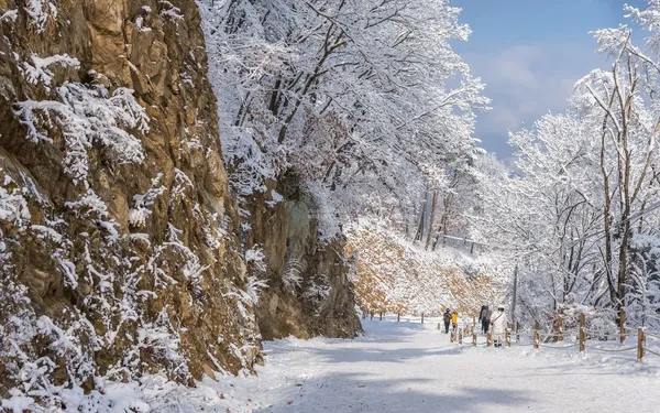 설산