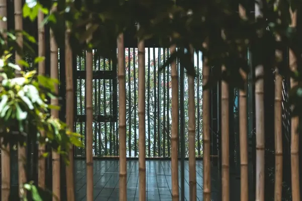 루호 산 전망대 출사지 사진 3
