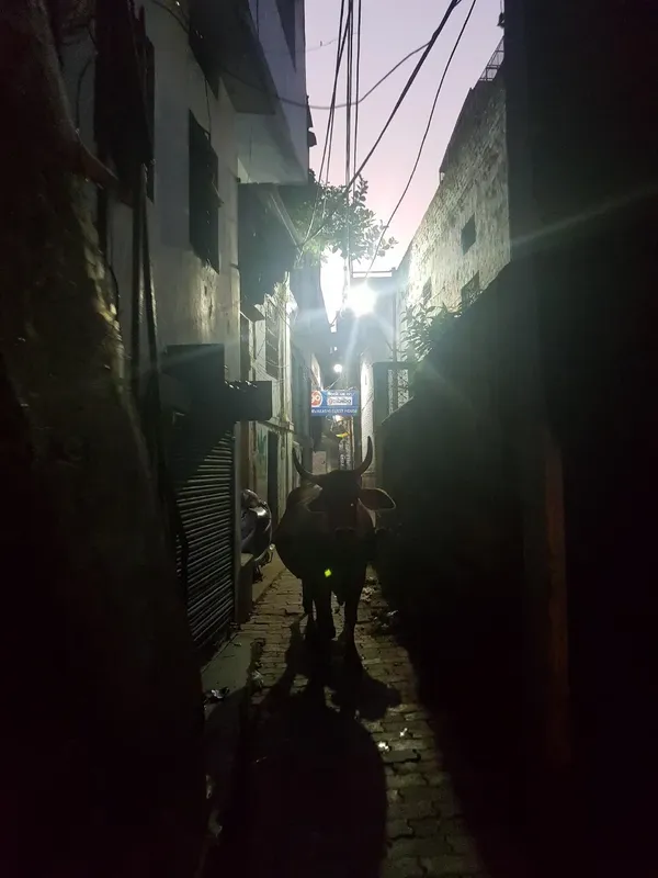 시내 풍경 출사지 사진 4