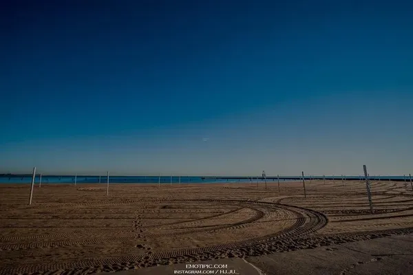 North Avenue Beach 출사지 사진 2