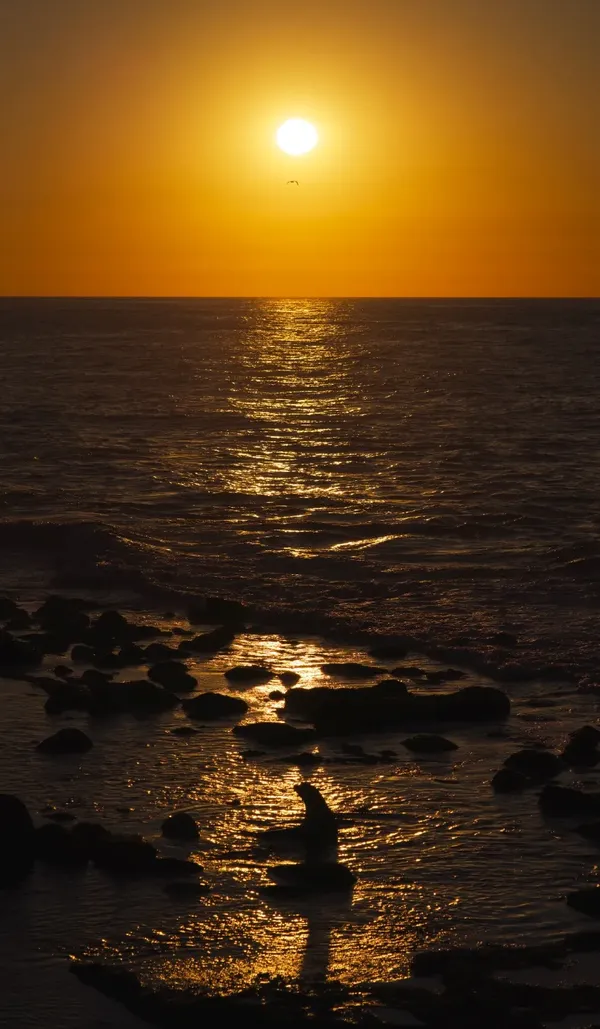 La jolla 출사지 사진 3