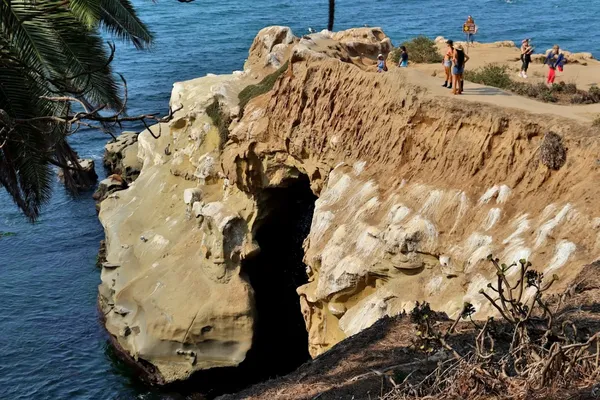 La jolla 출사지 사진 7