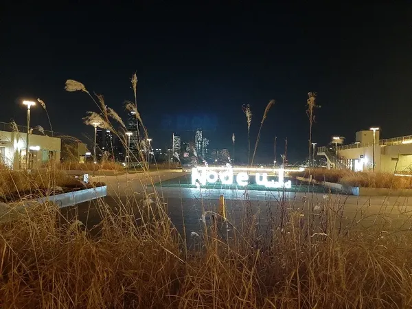 풀밭