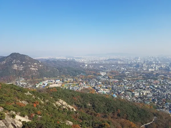 도시 전경