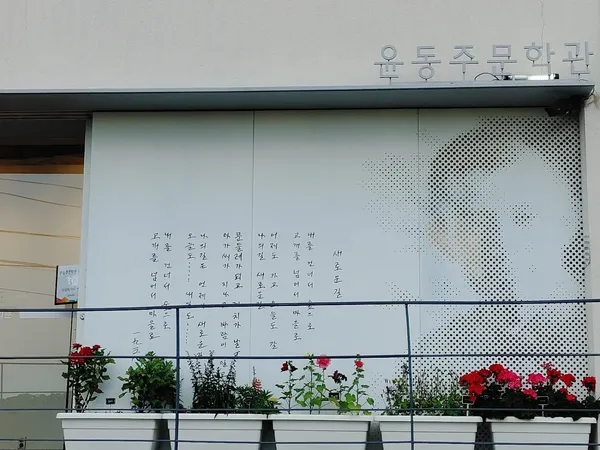 건물 외벽