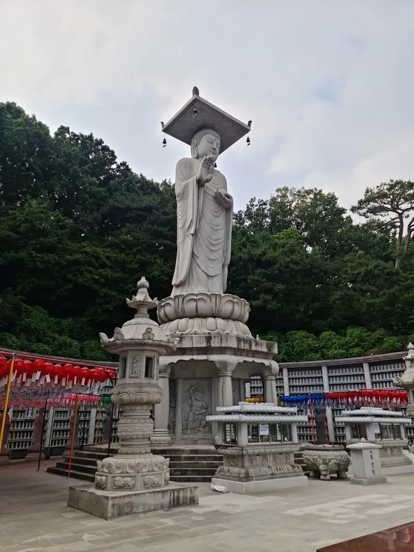 봉은사 출사지 사진 6