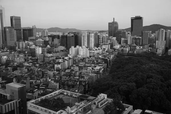 티컬렉티브 삼성점 출사지 사진 2