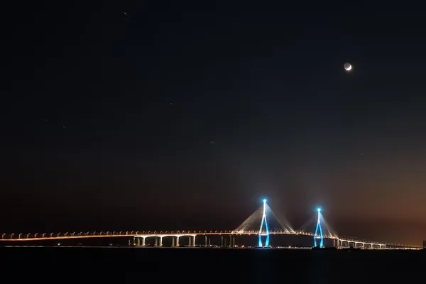 사장교