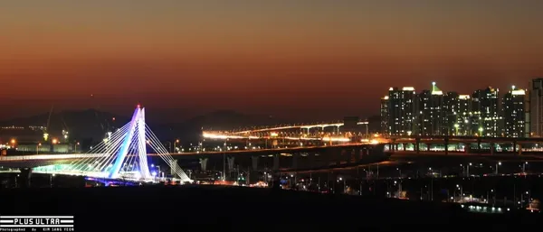 사장교