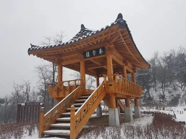 정자