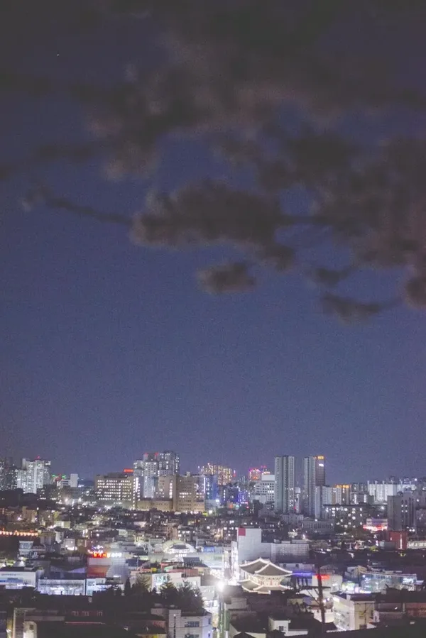 팔달문 출사지 사진 2