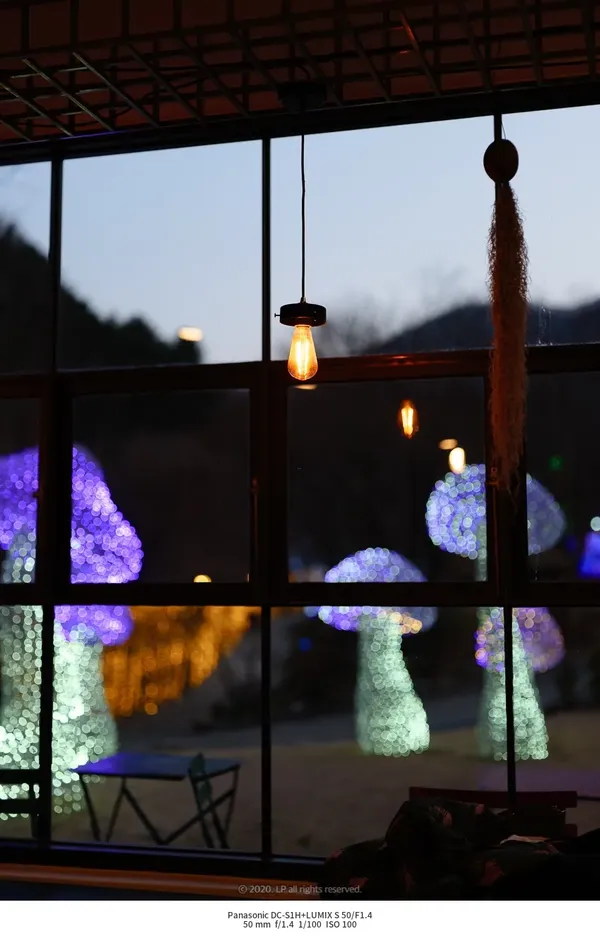 아침고요수목원 출사지 사진 10