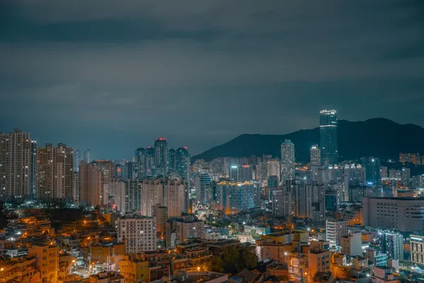 빌딩숲