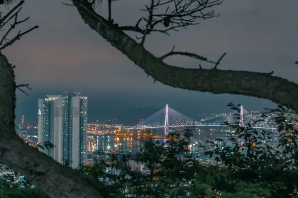 사장교