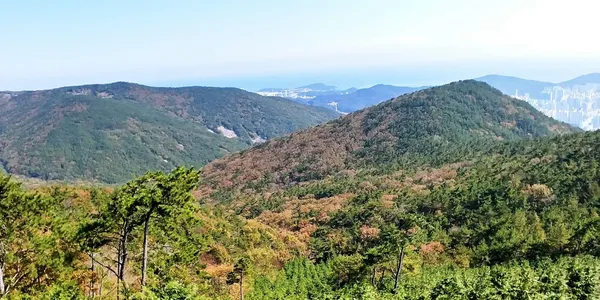 산 능선
