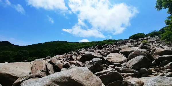 장산 출사지 사진 6