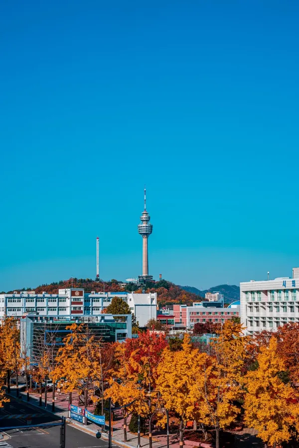 83타워 출사지 사진 4
