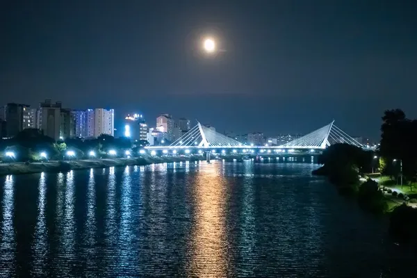 사장교