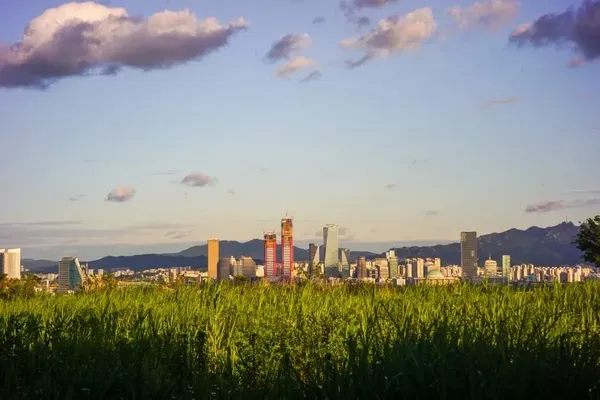 하늘공원 출사지 사진 5