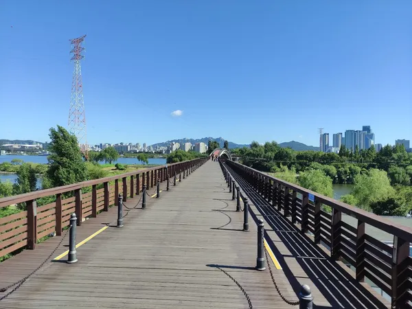 목재 보행교