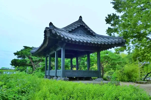 정자