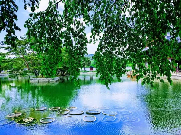 경복궁 출사지 사진 4