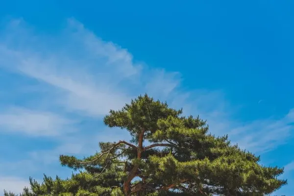창덕궁 출사지 사진 4