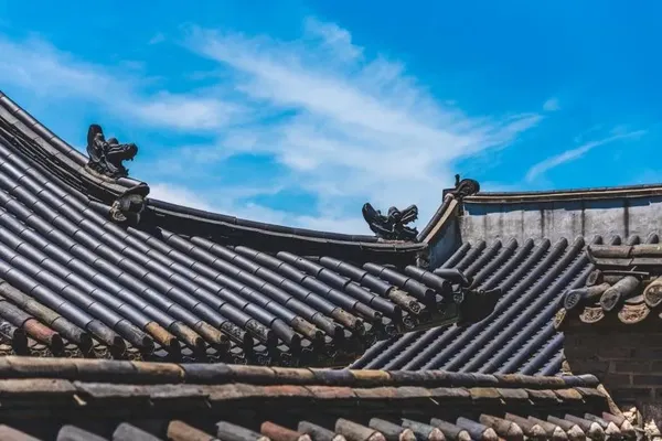 창덕궁 출사지 사진 8