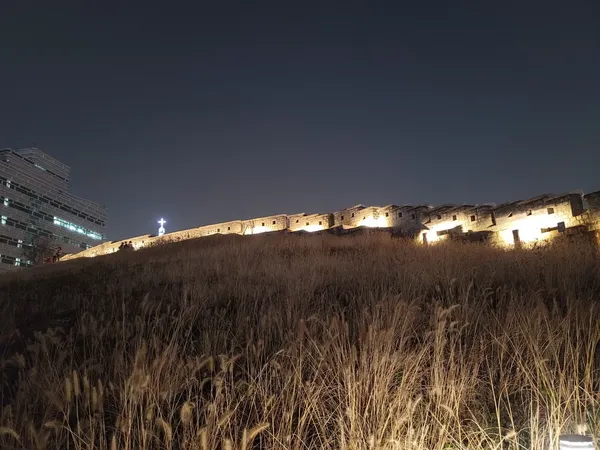 낙산공원 출사지 사진 11