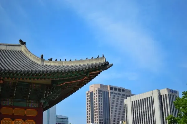덕수궁 출사지 사진 3