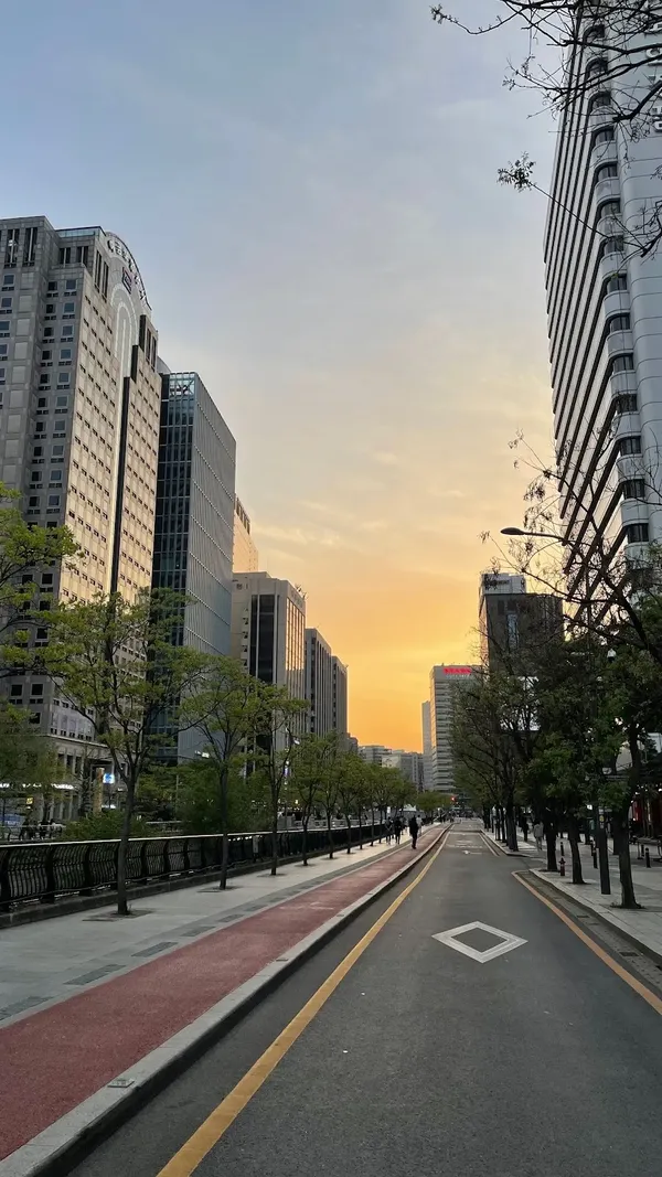 청계천 출사지 사진 5