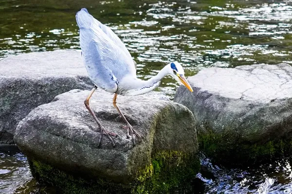 청계천 출사지 사진 8