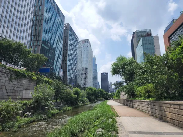청계천 출사지 사진 9