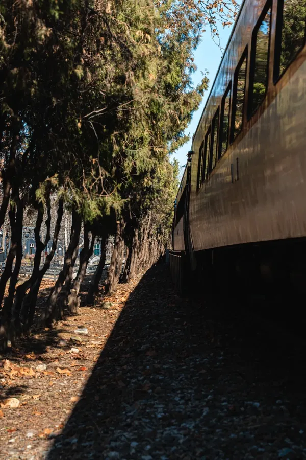 화랑폐역 출사지 사진 2