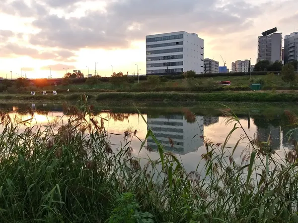하천