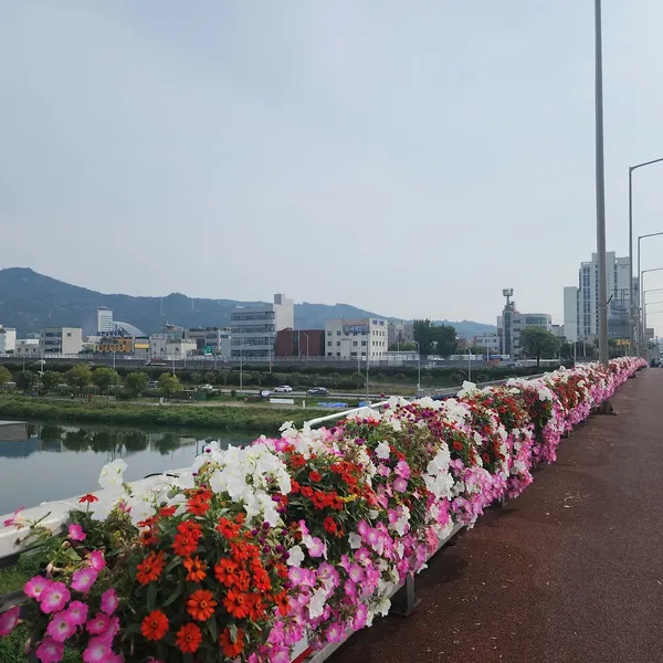 군자교 출사지 사진 9