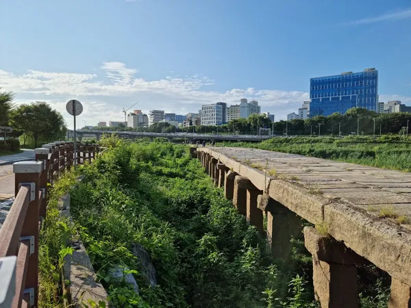 돌다리
