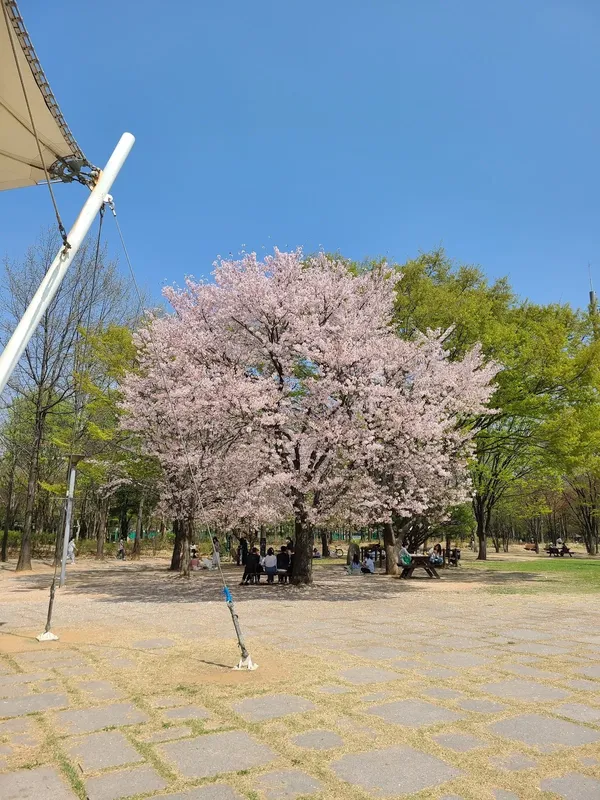 서울숲 출사지 사진 6