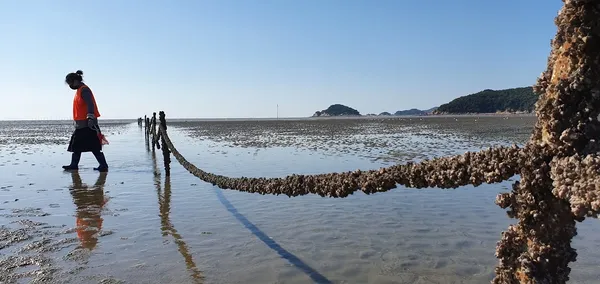 마시란해변 출사지 사진 7