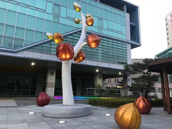 국제성모병원 출사지 사진 2