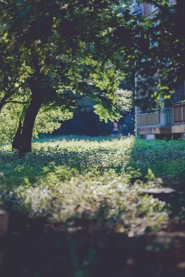 철산주공8단지아파트 출사지 사진 8