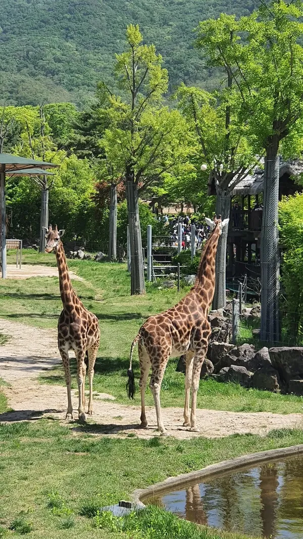 서울대공원 출사지 사진 6