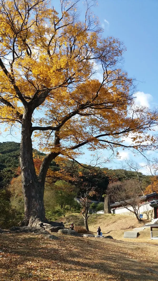 남한산성행궁 출사지 사진 4