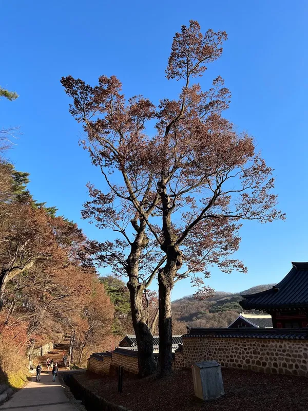 남한산성행궁 출사지 사진 7