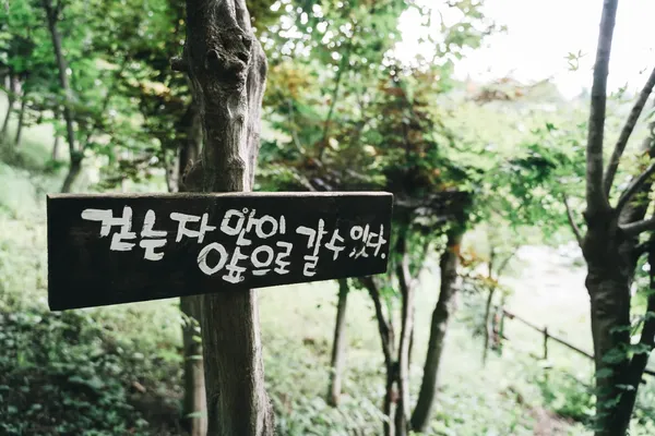 수생식물학습원 출사지 사진 3